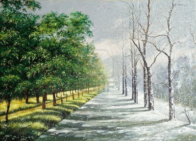 8737574-inverno-ed-estate-contrasto